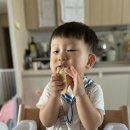 대구가톨릭대학부설유치원 | [육아일기+548] 인어공주 도윤