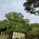 율마로-L | [ 김포 야외 정원카페 빈로드 l 18개월 아기랑 가기좋은 카페 ]