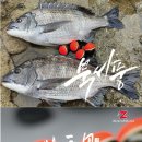 찌사랑낚시 이미지