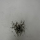 별내자동차공업사 이미지