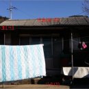 안성면100 이미지