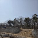 여주이포공인중개사사무소 | 양평 여주 경계에 있는 금사면 남한강 조망 토지매매