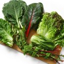 그린시너지 이미지