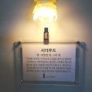 힐링보보하우스 이미지