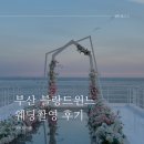 W-9 📸✨ 부산 블랑드윈느 2025 뉴컨셉 촬영 후기 💖