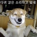 밀키샵 이미지