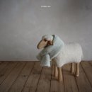 킨더펫(Kinder pet) 이미지