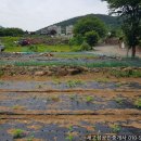 우원부동산공인중개사사무소 이미지