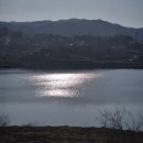 1729 | 🎬좀 더 순우리말 ✔️드레,✔️몬존하다 外 // 지안 스님(志安)