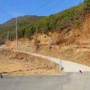 묘산면사무소 이미지