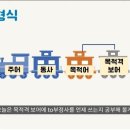 🟢3과.5형식에 to부정사암기 이미지