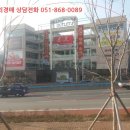 비401