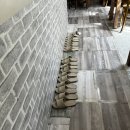 반계리 은행나무 &amp; 문막해물칼국수&amp;이리오너라카페(내돈내산후기)