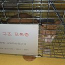 동물보육원 김해지부 네이버블로그