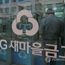 금융당국·5대은행, 새마을금고 RP 매입용 5조 이상 투입(종합) 이미지
