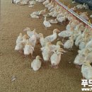 주원식품 이미지