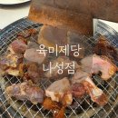 도로변(구로중앙로 135-6)(1) | 세종나성동무한리필맛집 육미제당 가성비 고기뷔페 후기