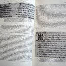 영문 캘리그래피 교본 리뷰 (5) : "Medieval Calligraphy: Its History and Technique" (Marc Drogin 著) 이미지