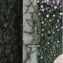 벧엘종합인테리어 | [공지] 2026 르솔레유 조화 플랜테리어 공간장식 창업 교육 ㅣ 플랜테리어 공간장식 2급 자격증 과정