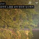 오소록 이미지