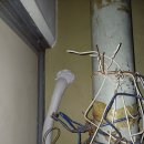 금곡대로 616번길 이미지