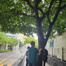 세이브트리엑스퍼트 이미지