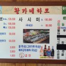 오동도유람선 이미지