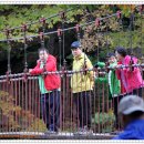 침산초등 이미지