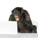 린아카데미 | 린반 아카데미를 수강하고 내 인생이 달라졌다