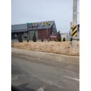 라임동물약품 이미지