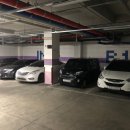 비너스외과의원 이미지