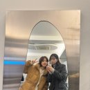 어라운드 유