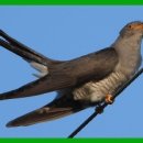 (주)한국협화 이미지