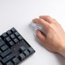 사무용 무소음 무선 하프 버티컬 마우스 지클릭커 오피스프로 후기
