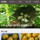 꽃향기흙내음