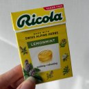 GS25대전맑은아침 | 만성 변비인의 대장내시경 두번 실패 후 성공 후기(변비약 사용법)