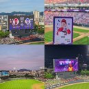 노라조 | 달빛시리즈 기아vs삼성 6월 5일 3루 ev석 532블록 9열 시야, 달빛꿈 포토카드, 노라조 뒷풀이 응원전 후기