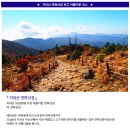 ♣10/13~14(금/토)지리산 아름다운 연하선경 가을단풍 이미지