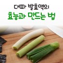 대파발효액의 효능과 만드는법 이미지