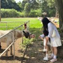 향수목장2 이미지