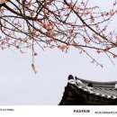 늘,그곳 이미지