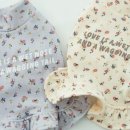 봄강아지 이미지