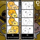 진도하루 이미지