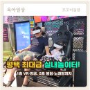 평택 아이와 가볼만한곳 추천! 주말에 다녀온 실내 VR 오락실 후기