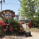 (학교)남산초 이미지