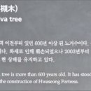 수원-1296 이미지