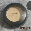 골드빗