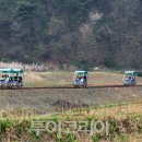 곡성-041 이미지