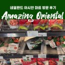 아시안마트 | 네덜란드 생활 | 흐로닝언 아시안마트 어메이징 오리엔탈 방문 후기 &amp; 한국 식재료 모음