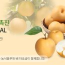 내수농협하나로마트 이미지